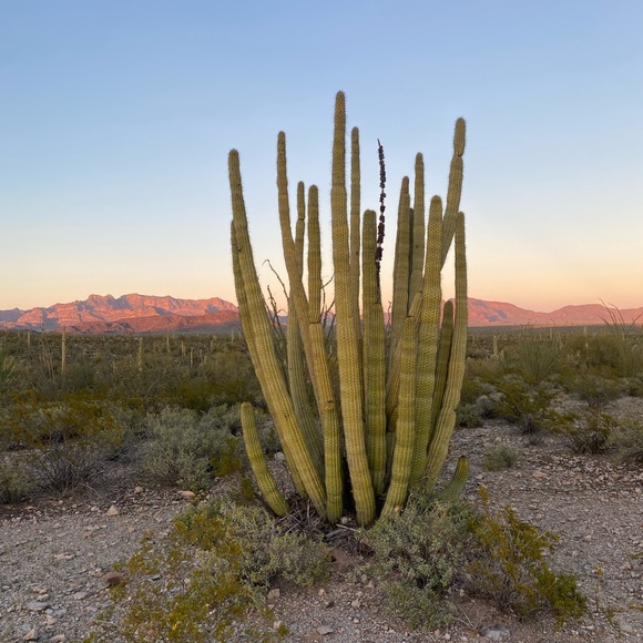 Meet your Posher, Sårah - Picture 1 of 1